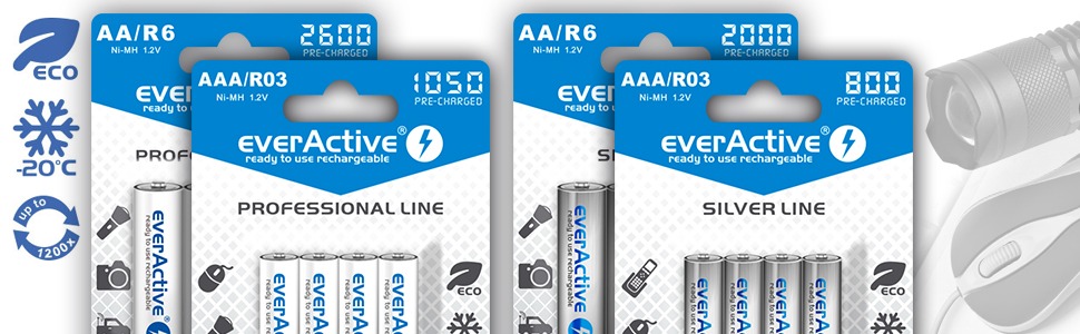 wiederaufladbare Batterien mit langer Lebensdauer